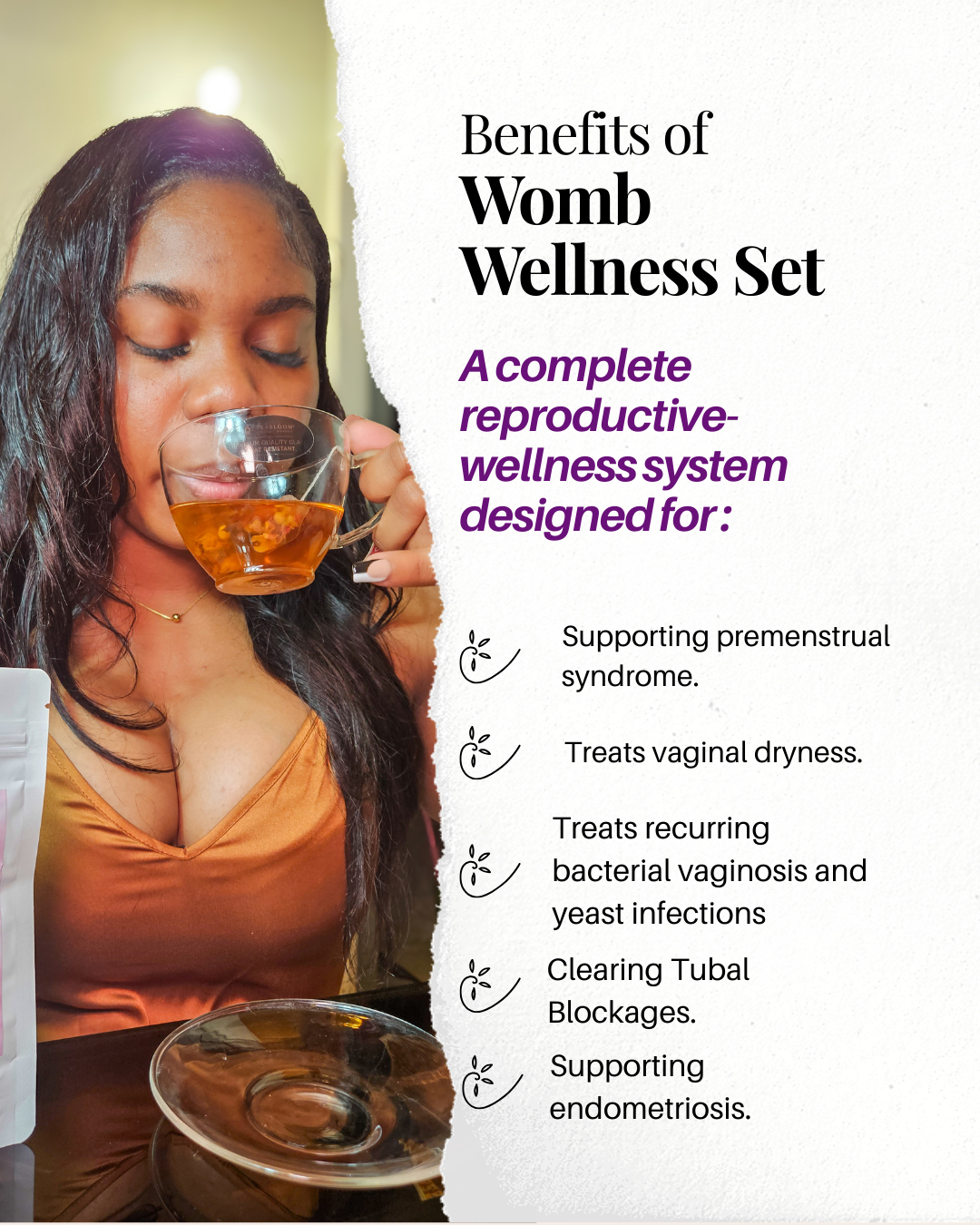 Womb Wellness Sets - Complete PCOS, Hormonal Balance, PID, pH-Detoxifies Womb, Menstrual & Reproductive Support System