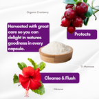 Easy pHlow Capsules -Probiotic UTI , Urinary Tract, Memory and Digestive Support for Women and Men,- pH Daily Support D-Mannose with Cranberry, Hibiscus & Probiotics