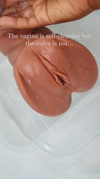 RevivHer Collection - Womb Support| Hormonal Support| Freshness| Intimate Wellness